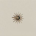 moonlight whisper ring