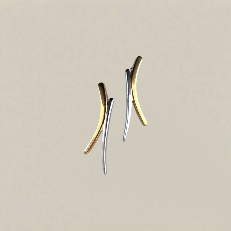 Photoroom_20251109_105844 earrings