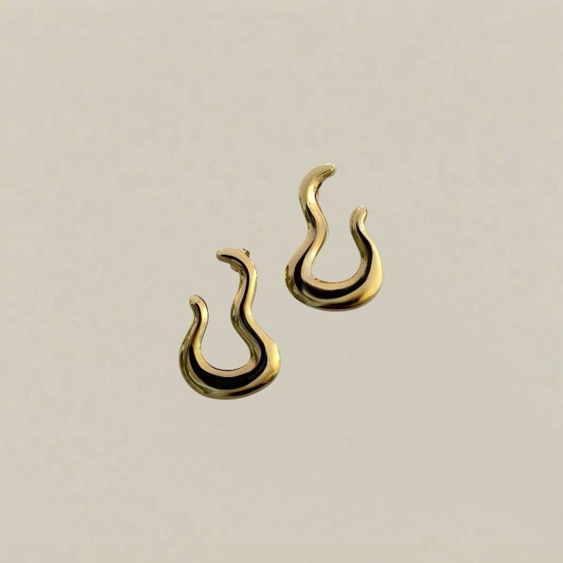 Photoroom_20251203_150257 earrings