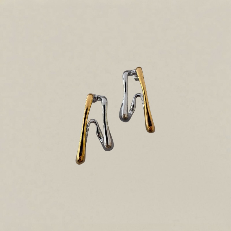 Photoroom_20260104_164859 earrings